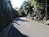 t19_186_thumb.jpg