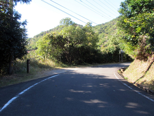 t19_187.jpg