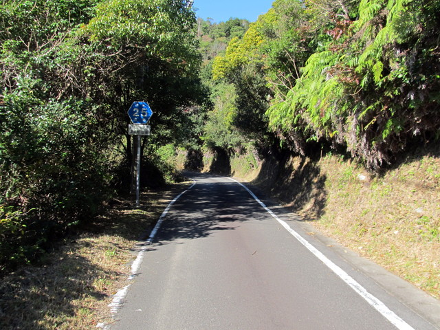 t19_188.jpg
