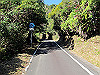 t19_188_thumb.jpg