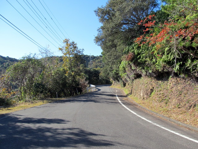 t19_193.jpg