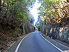 t19_195_thumb.jpg