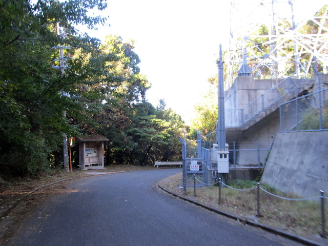 t19_196.jpg