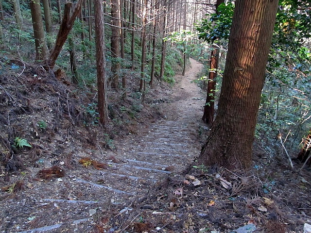 t19_200.jpg