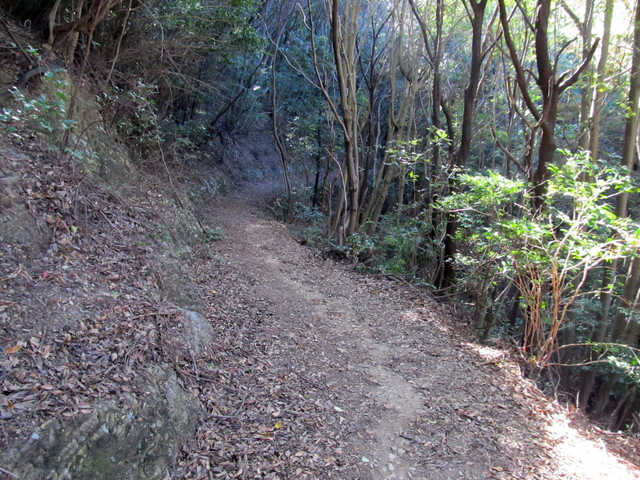 t19_202.jpg
