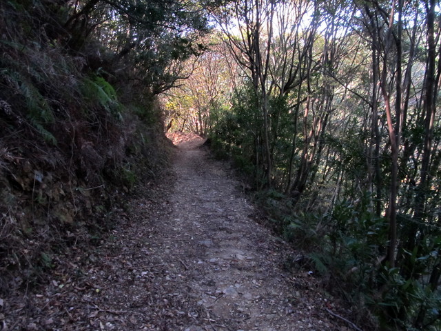 t19_204.jpg