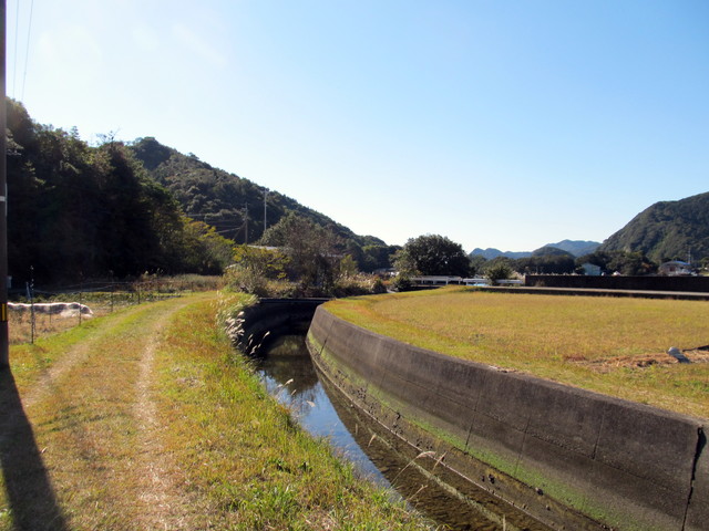 t19_212.jpg
