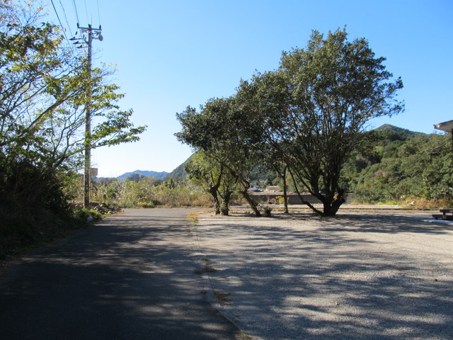 t19_213.jpg