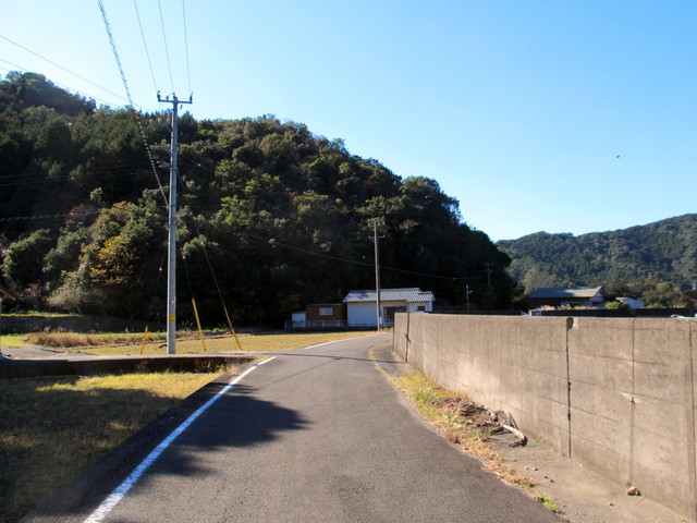 t19_215.jpg