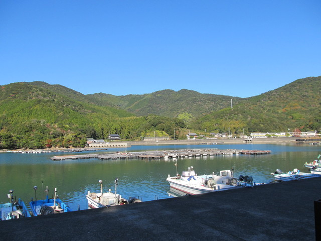 t19_216.jpg