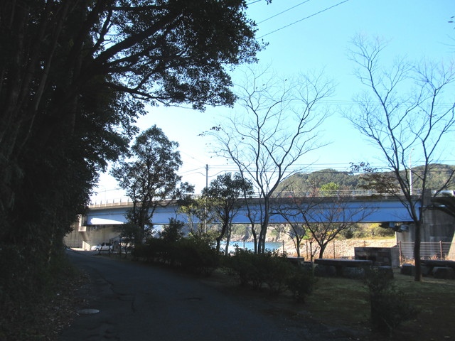 t19_217.jpg