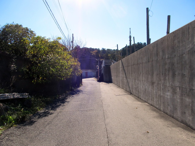 t19_224.jpg
