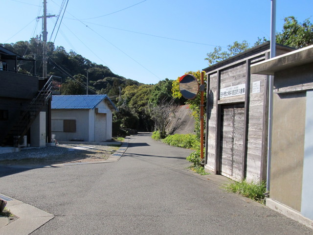 t19_225.jpg