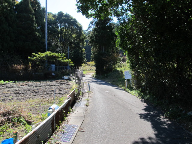 t19_226.jpg