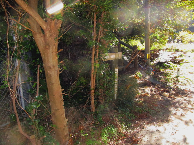 t19_227.jpg