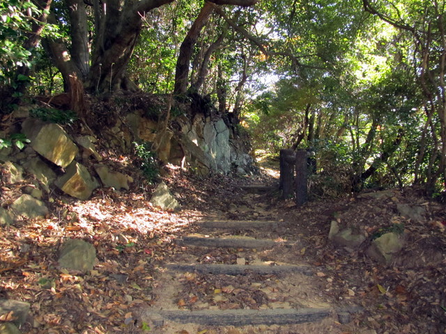 t19_229.jpg