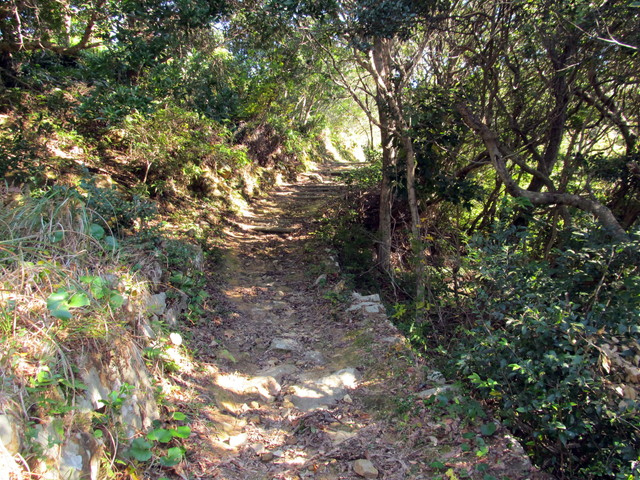 t19_230.jpg