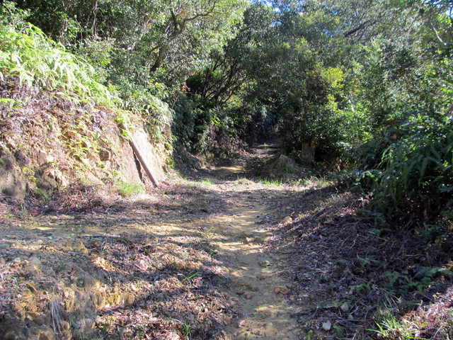 t19_232.jpg