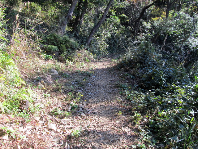 t19_238.jpg
