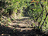 t19_243_thumb.jpg