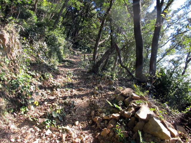 t19_247.jpg