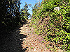 t19_255_thumb.jpg