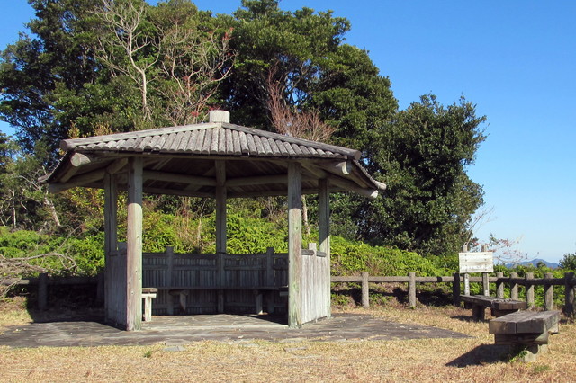 t19_259.jpg