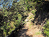 t19_264_thumb.jpg
