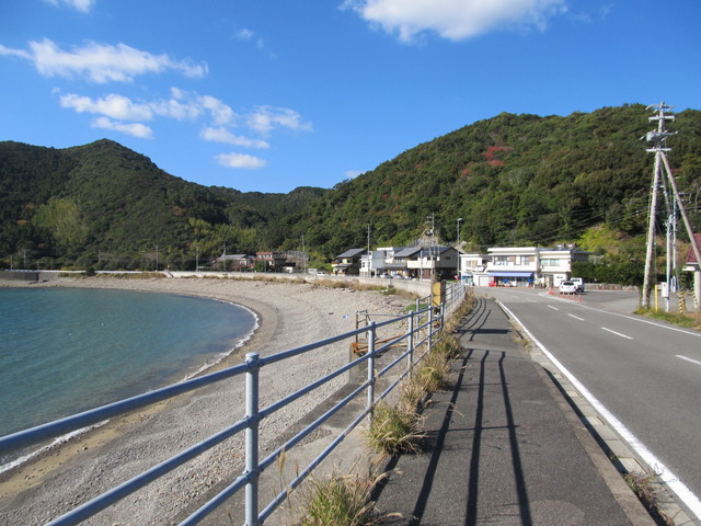 t19_271.jpg
