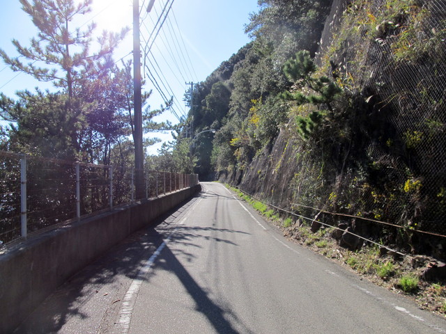 t19_275.jpg