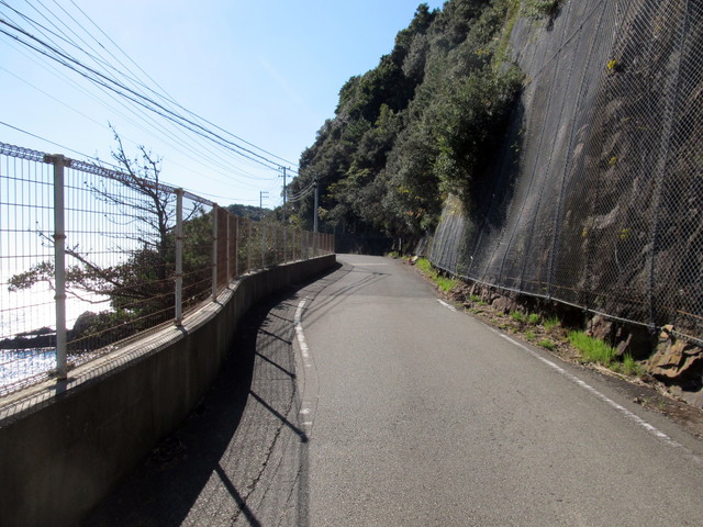 t19_276.jpg