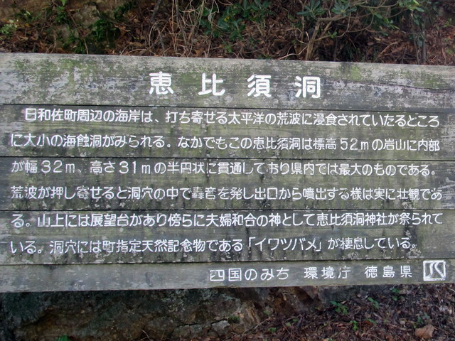 t19_277.jpg