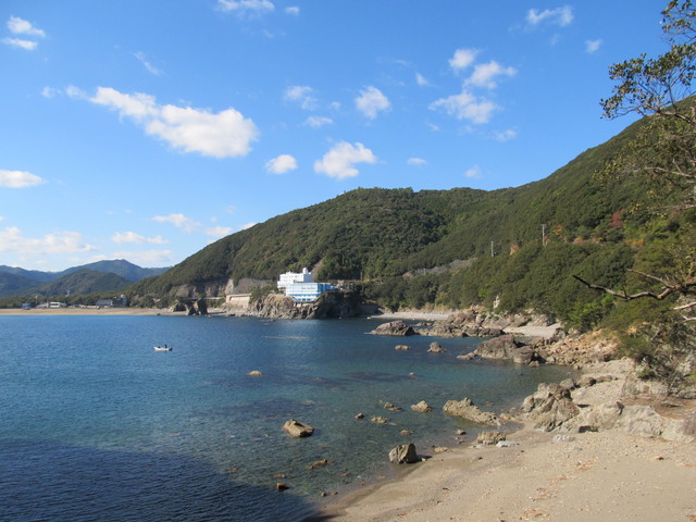 t19_281.jpg
