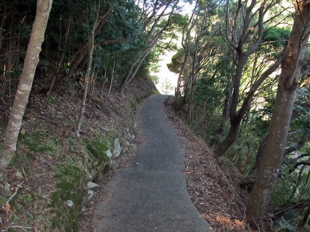 t19_291.jpg