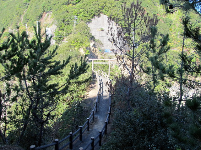t19_292.jpg