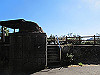 t19_301_thumb.jpg