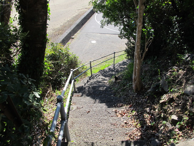 t19_304.jpg