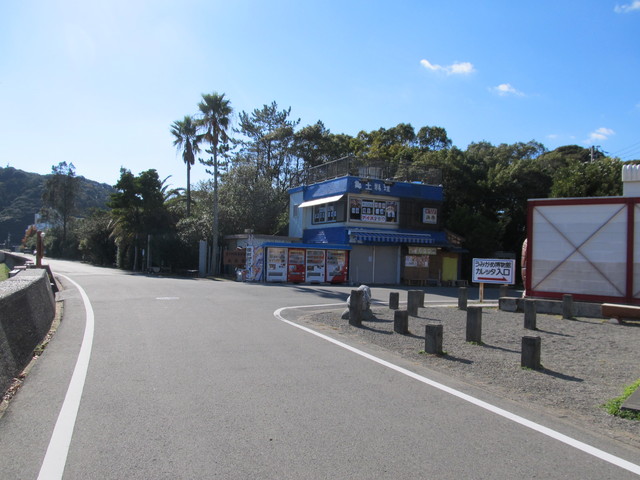 t19_308.jpg