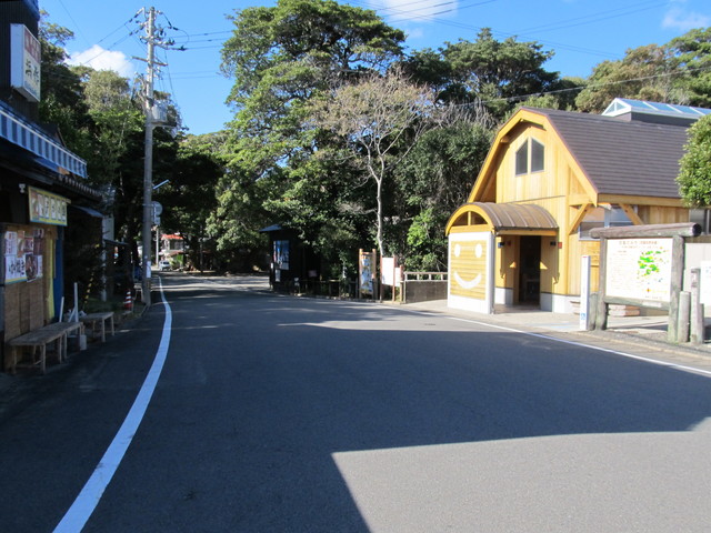 t19_310.jpg