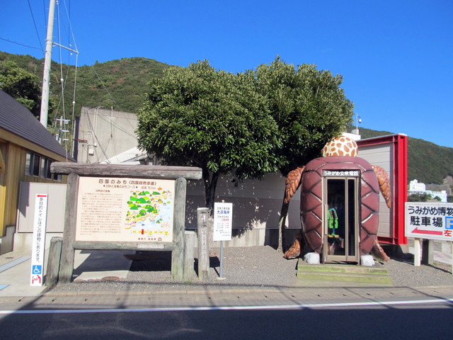 t19_311.jpg
