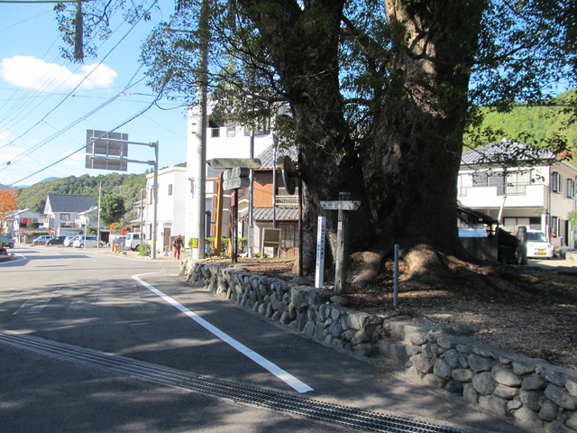 t19_315.jpg