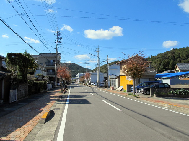 t19_316.jpg