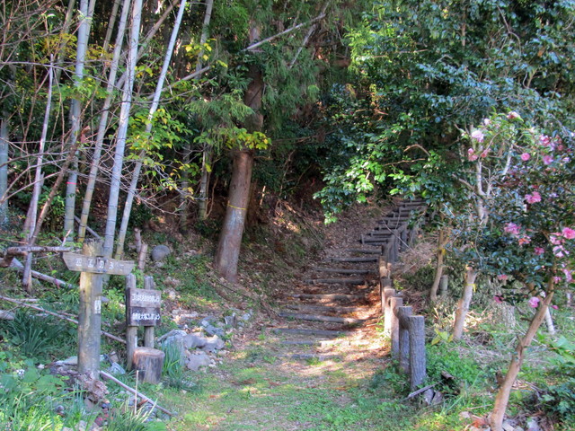 t19_321.jpg