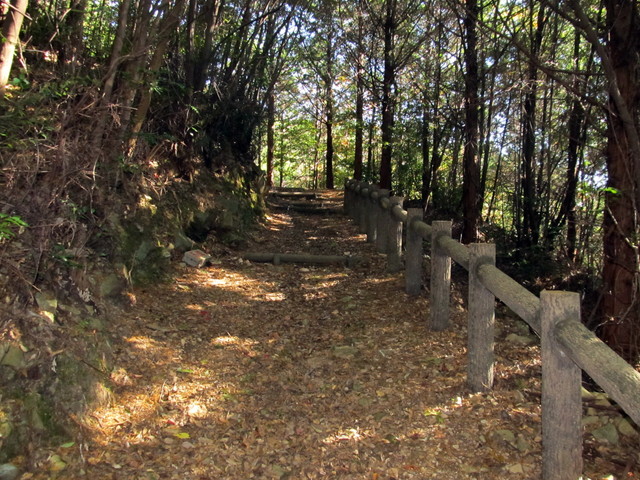 t19_325.jpg