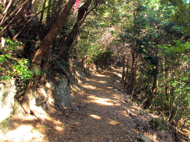 t19_327.jpg