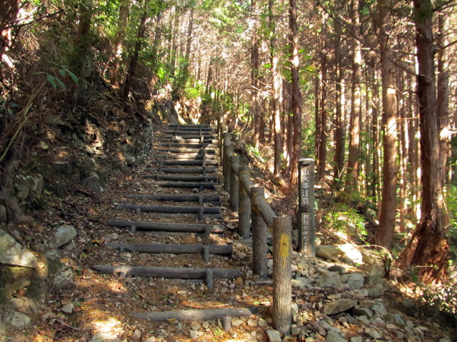 t19_328.jpg