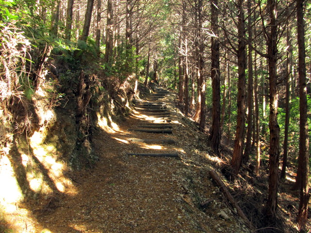 t19_329.jpg