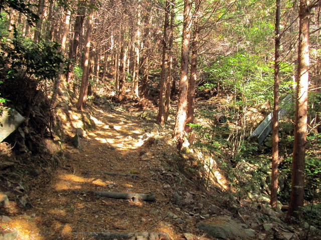 t19_330.jpg
