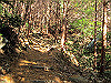 t19_330_thumb.jpg