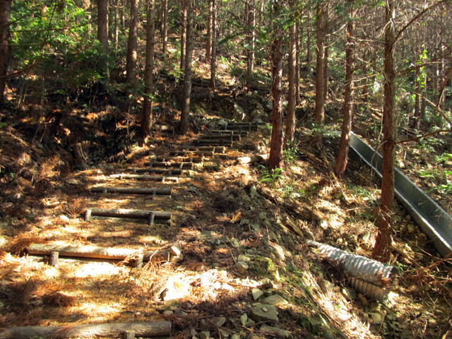 t19_331.jpg